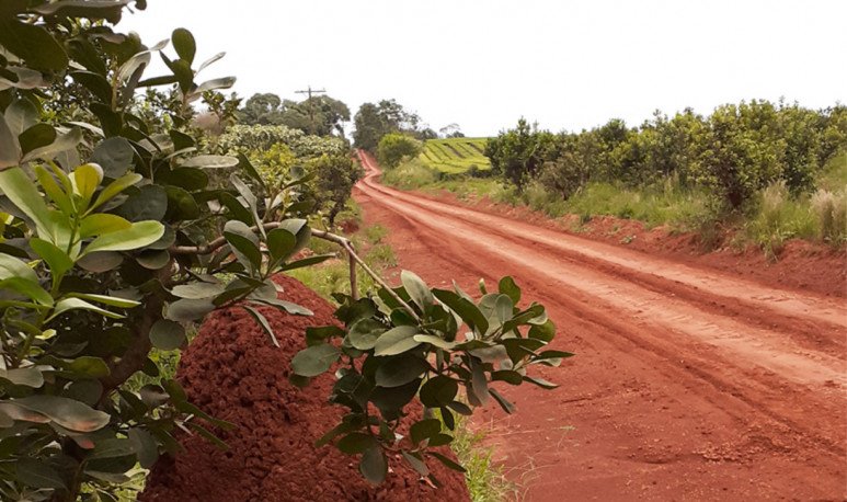 Ejemplo Ruta de la yerba mate